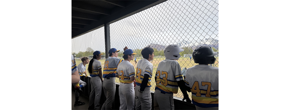 2026 Seniors Baseball